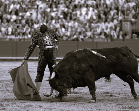 Morante de la Puebla reaparece en Sevilla