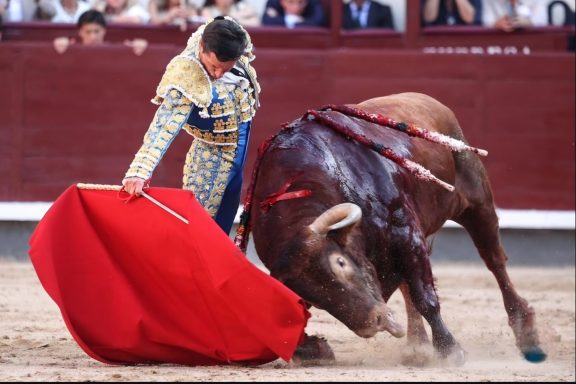 Urdiales Madrid