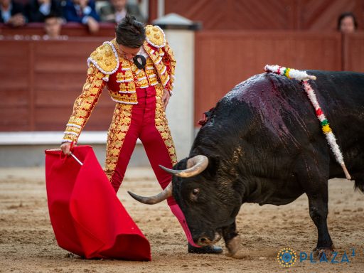 Urdiales Madrid