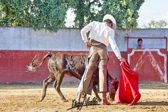 Uceda Leal en campo