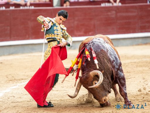 Pablo Aguado
