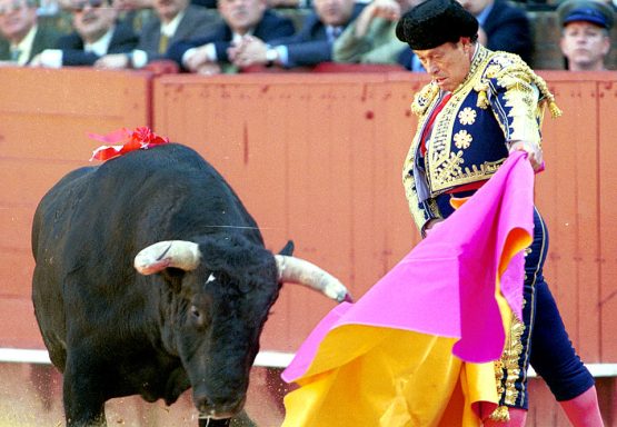 Curro Sevilla