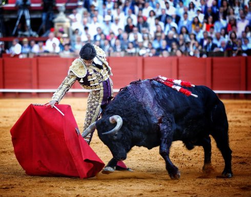 Pablo Aguado Sevilla