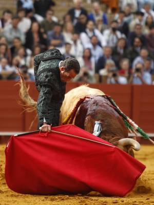 Fernando Cepeda Sevilla
