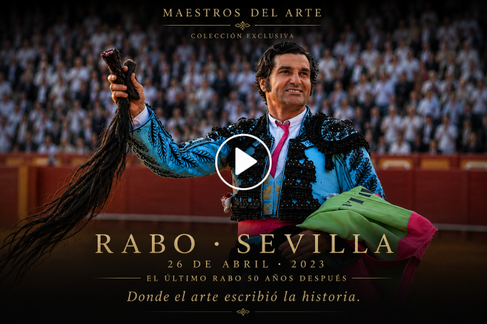 El Arte convertido en Historia
