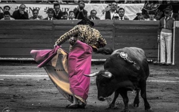 El lenguaje del Toreo términos que todo aficionado debe conocer