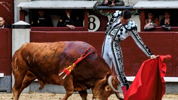 Uceda Leal Goyesca